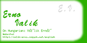 erno valik business card